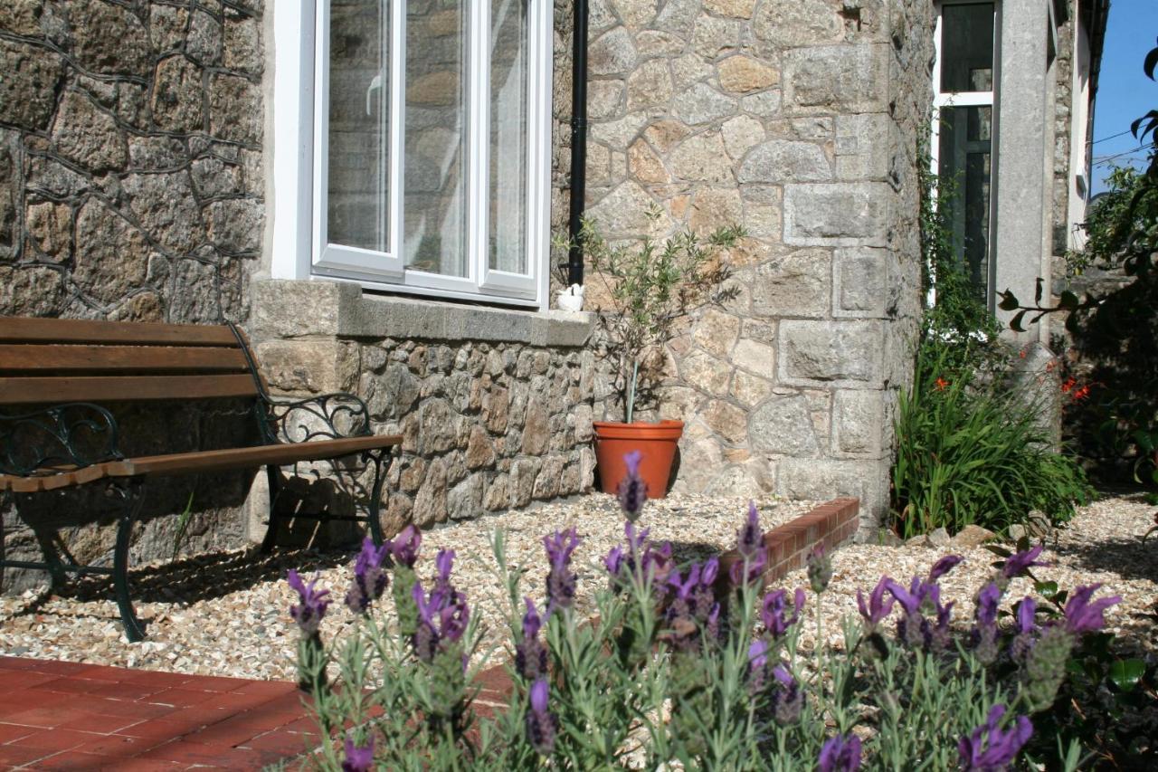 Tawburn House Boutique B & B 欧克汉普敦 外观 照片